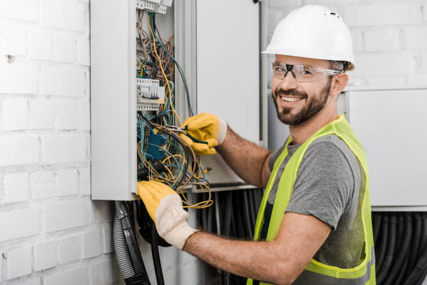 Best Electric Panel Repair  in Jonesville, MI