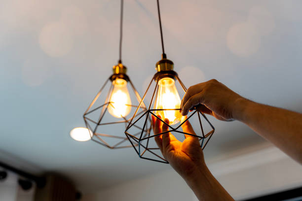 Best Electrician for Home Renovation  in Jonesville, MI