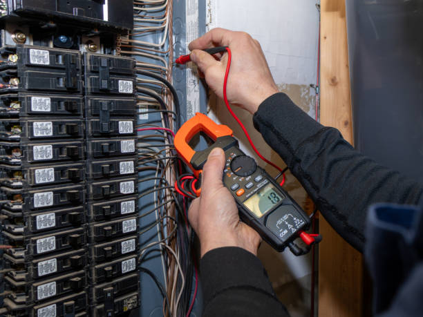 Best 24-Hour Electrician  in Jonesville, MI